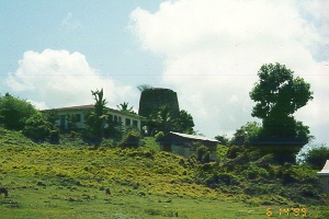 Sugar plantation