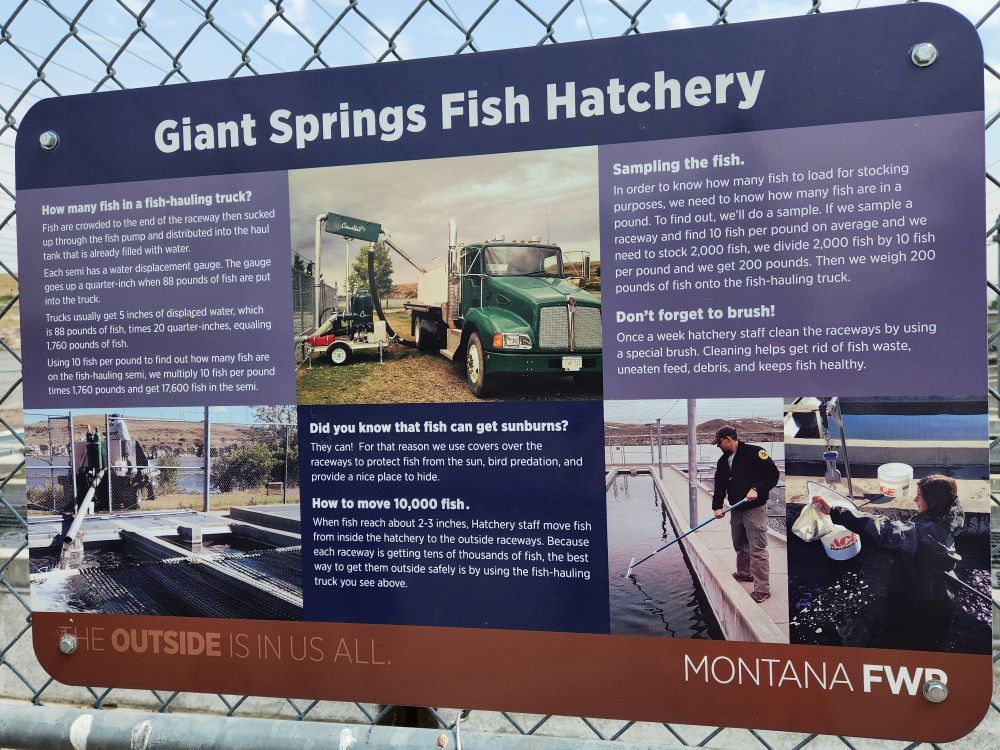 Fish Hatchery