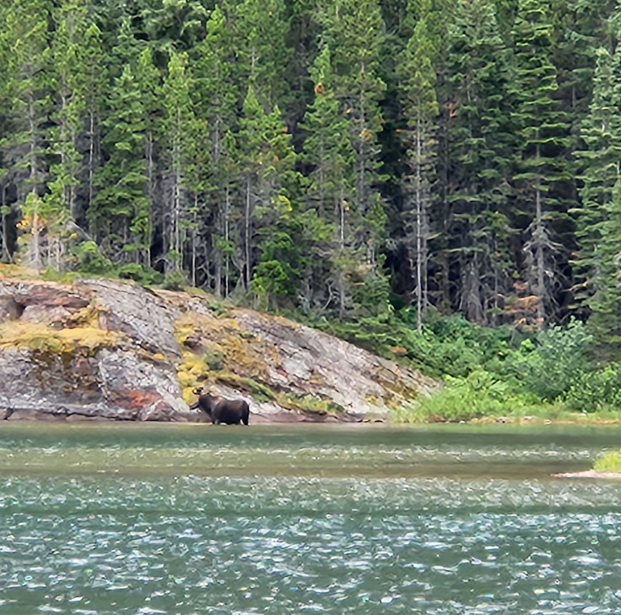 Fishercap Lake