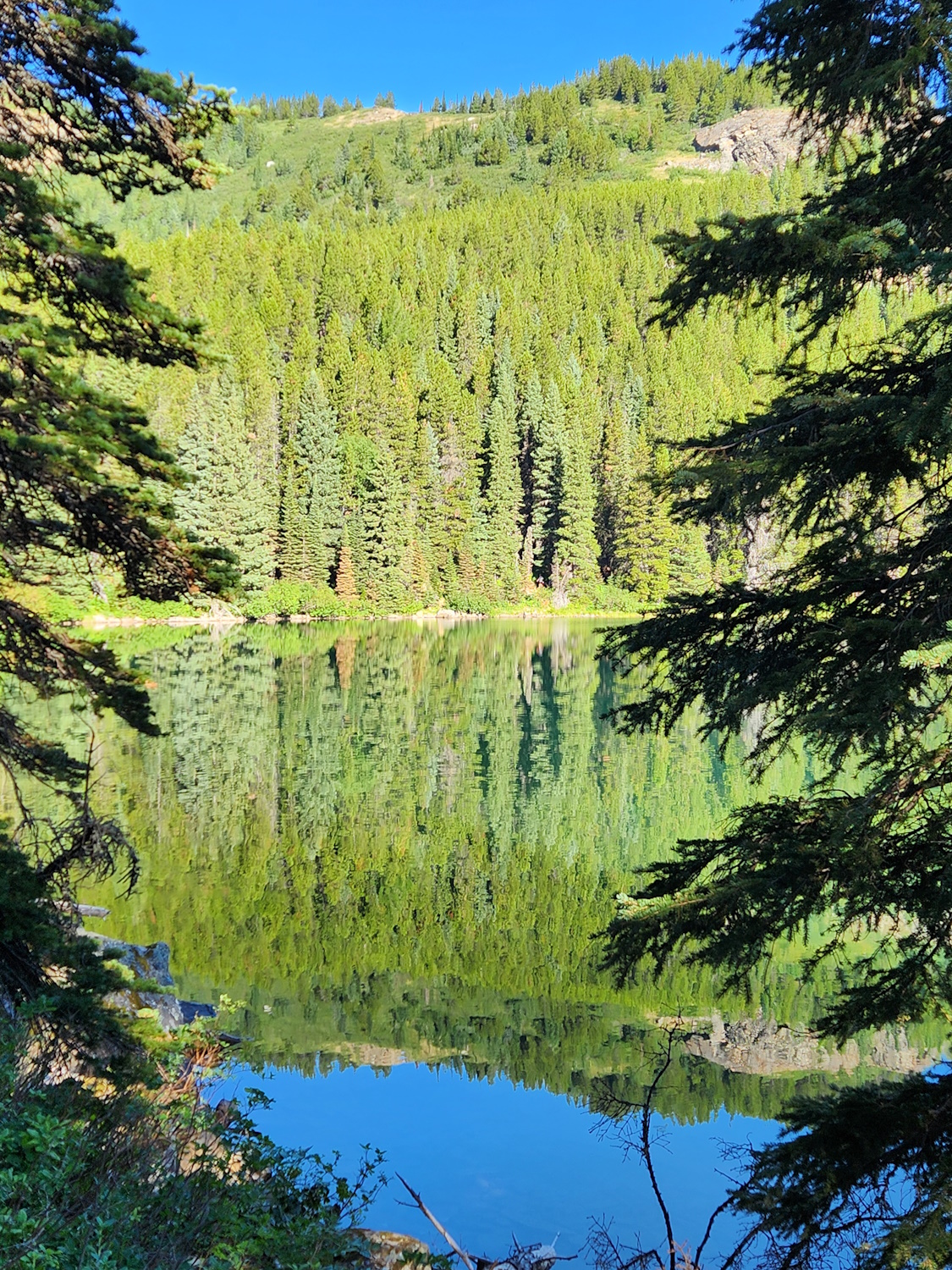 Hike Swiftcurrent and Josephine Lakes