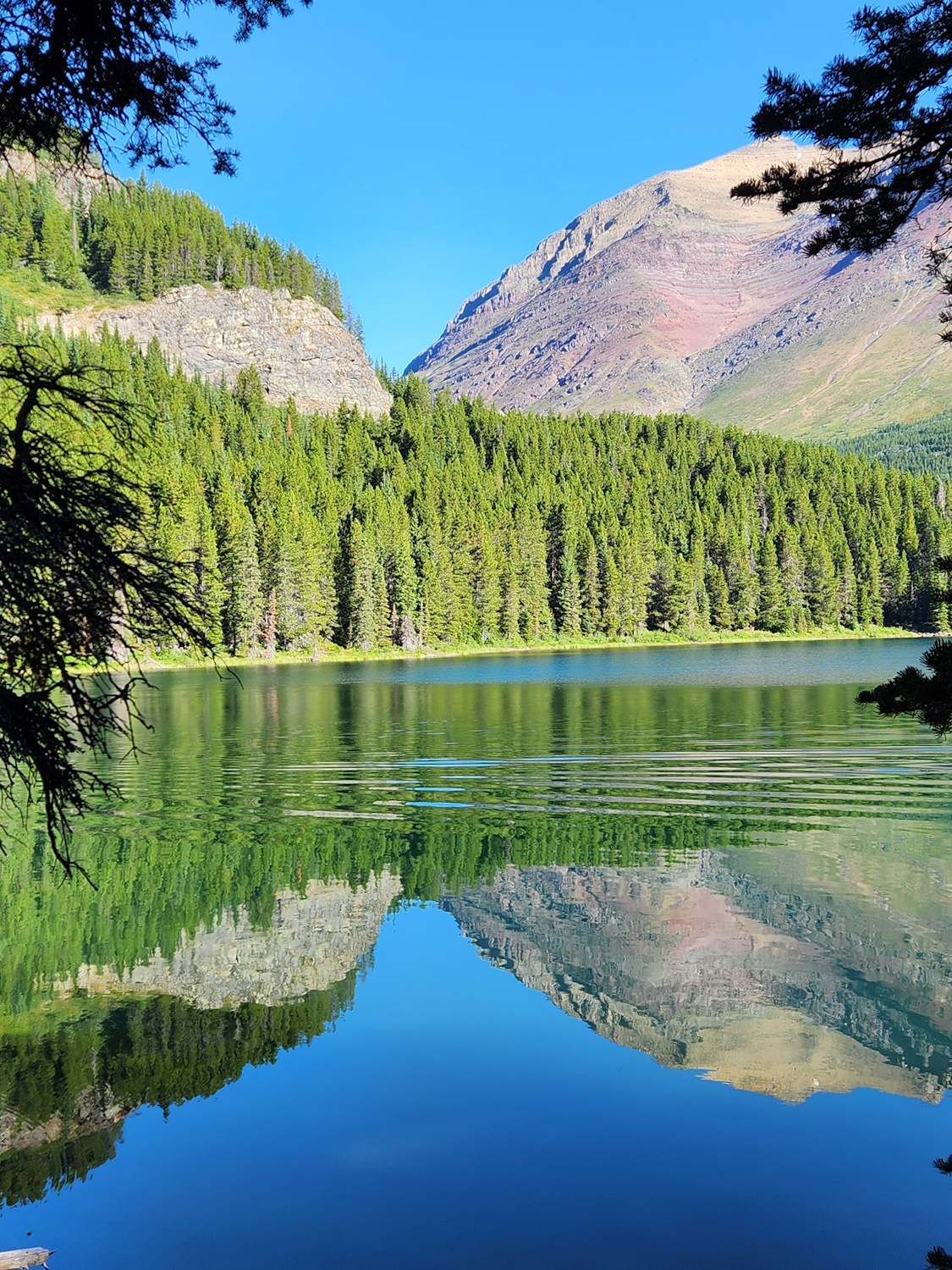 Hike Swiftcurrent and Josephine Lakes