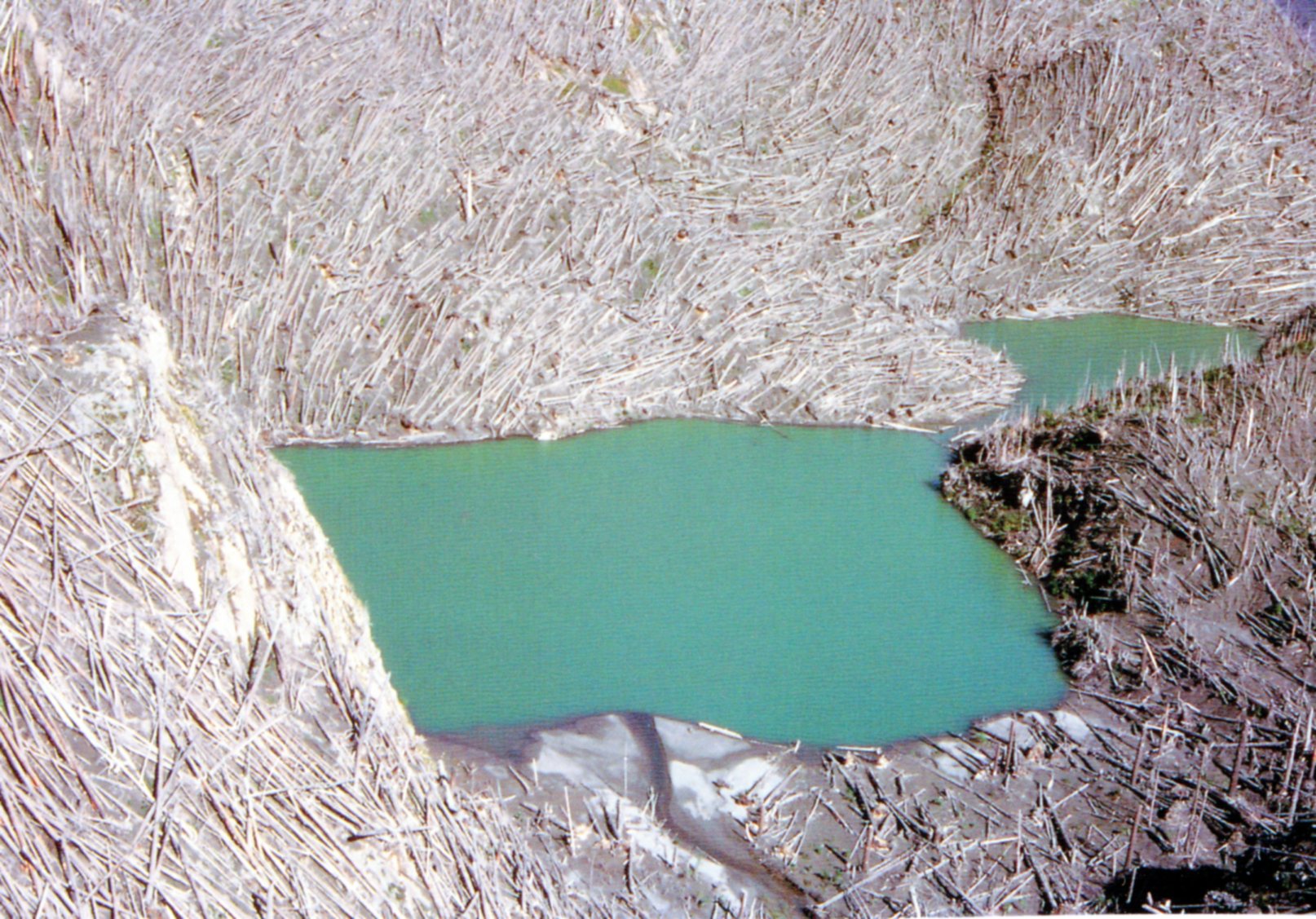 Mount St. Helens Washington