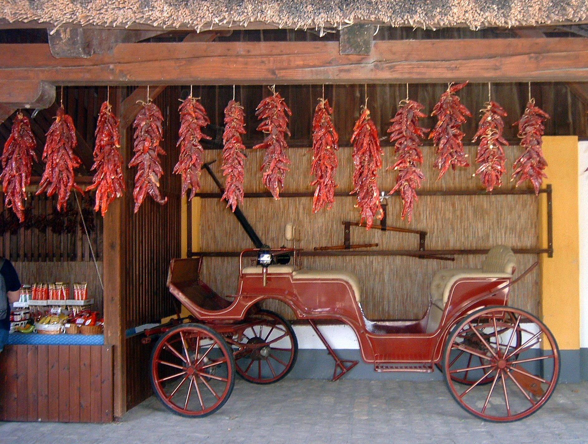 Kalocsa Equestrian Show