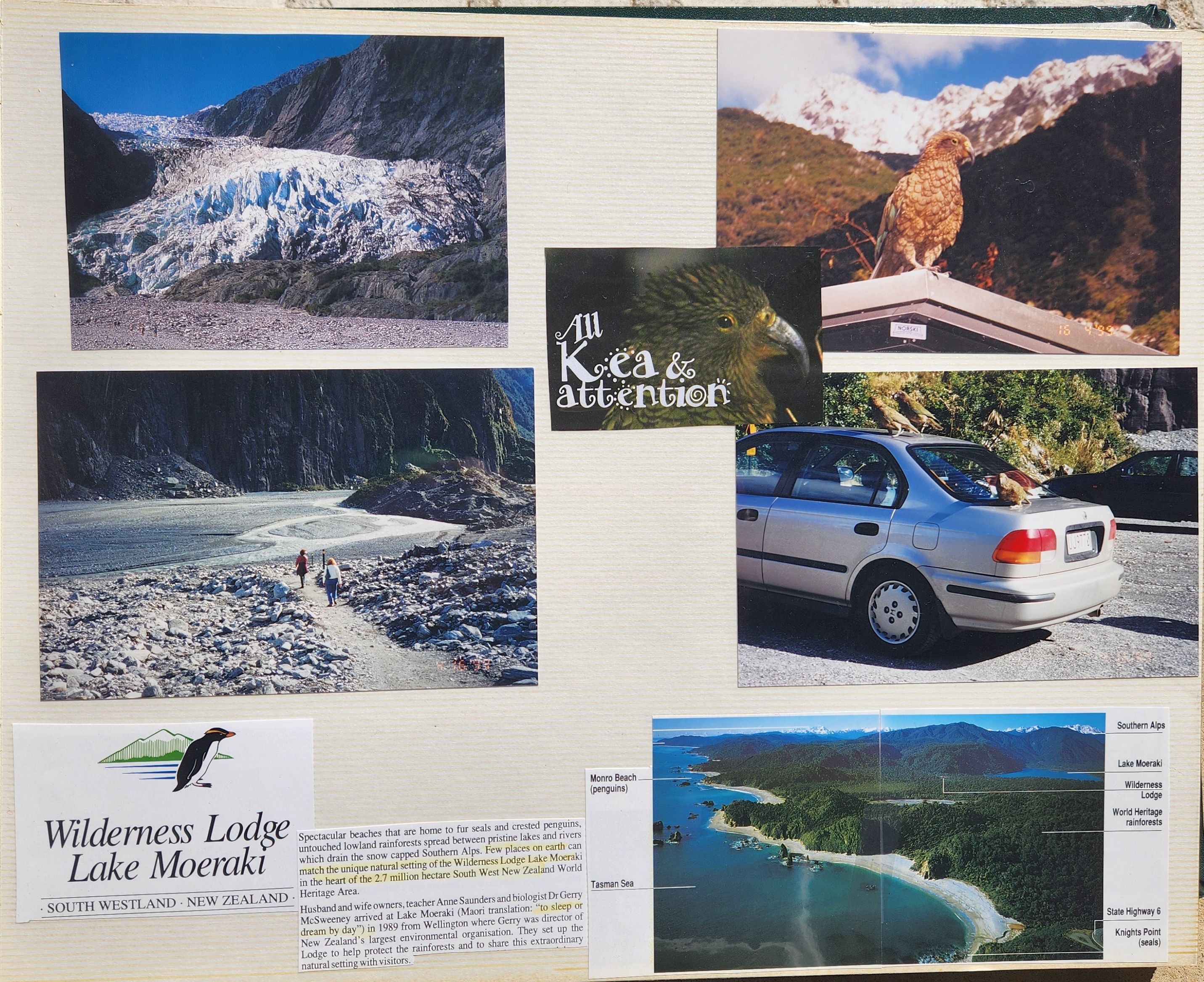 1999 Suzanna Travels to New Zealand