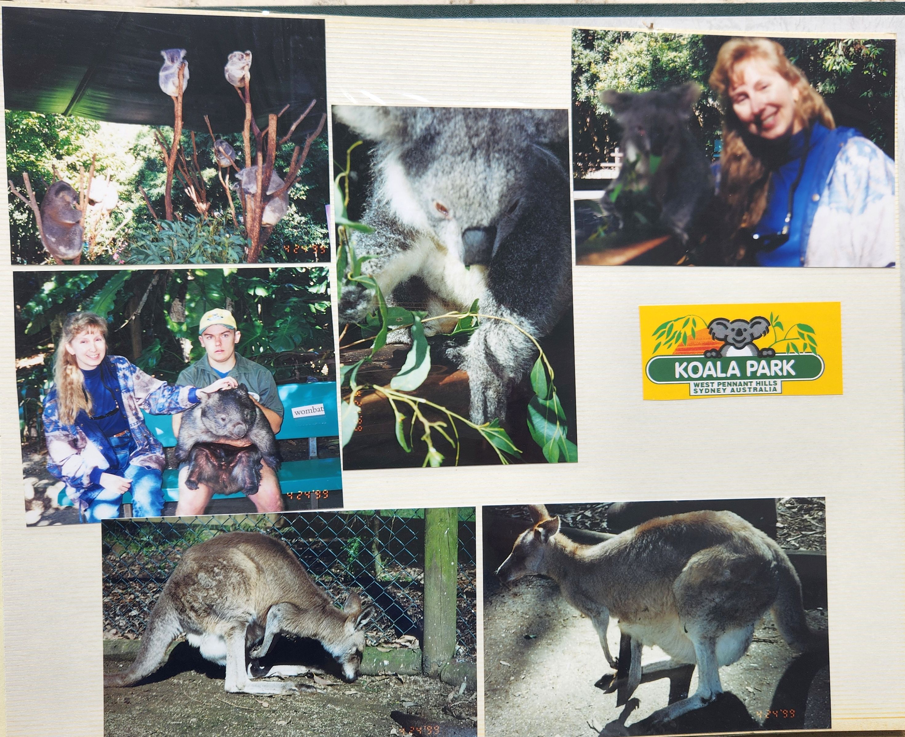1999 Suzanna Travels to New Zealand