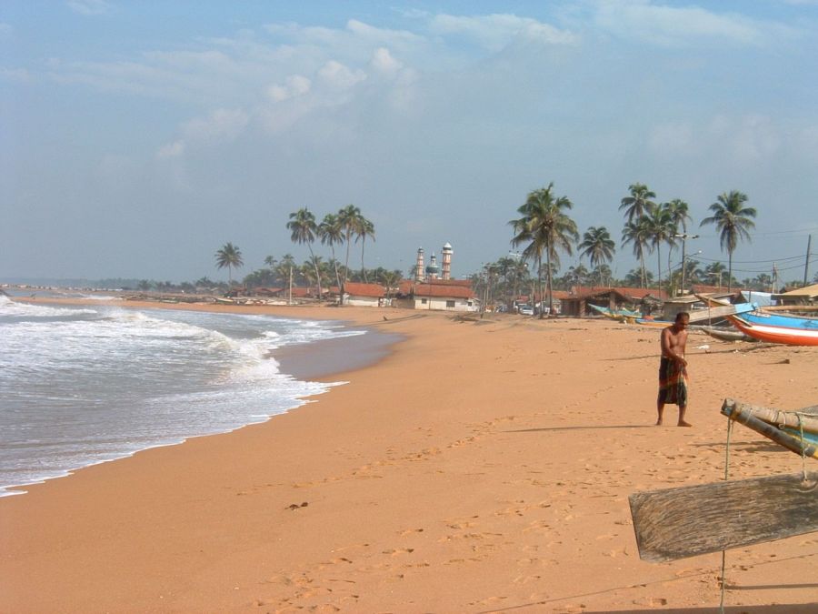 Suzanna Travels to Sri Lanka