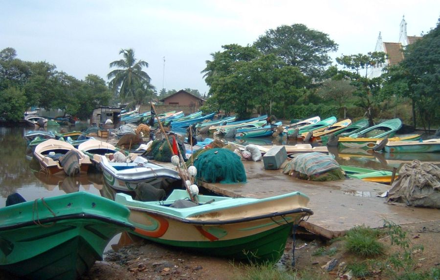 Suzanna Travels to Sri Lanka