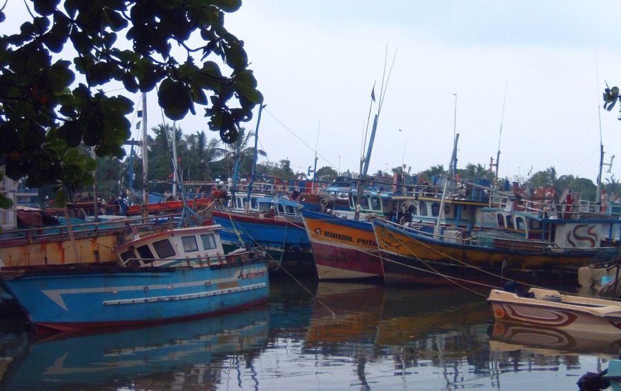 Suzanna Travels to Sri Lanka