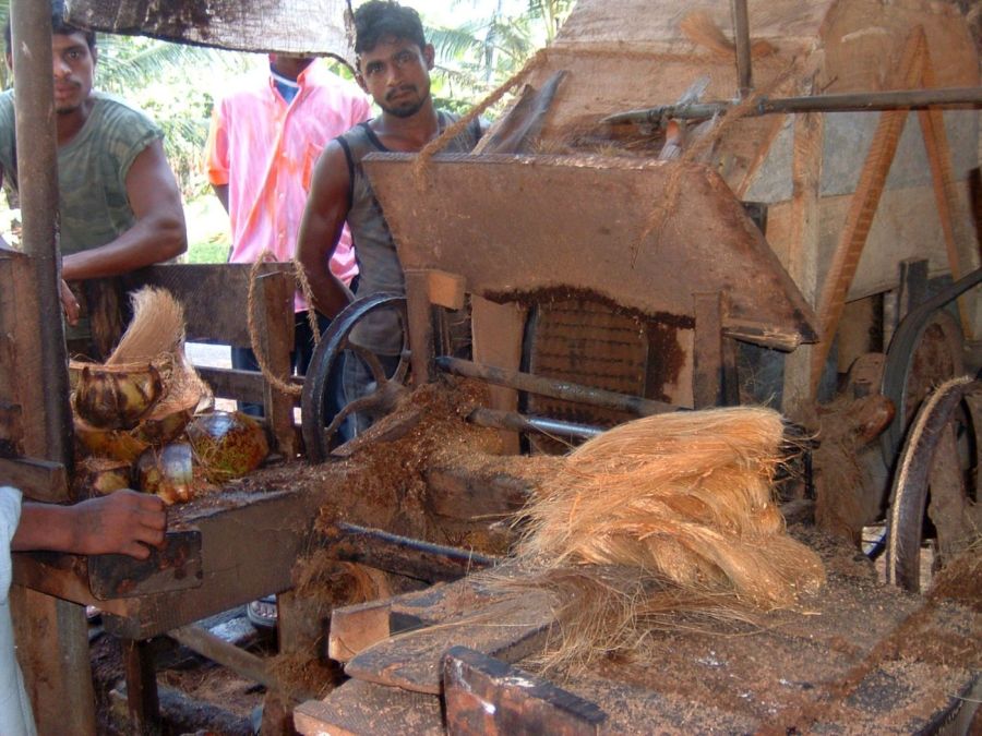 Suzanna Travels to Sri Lanka