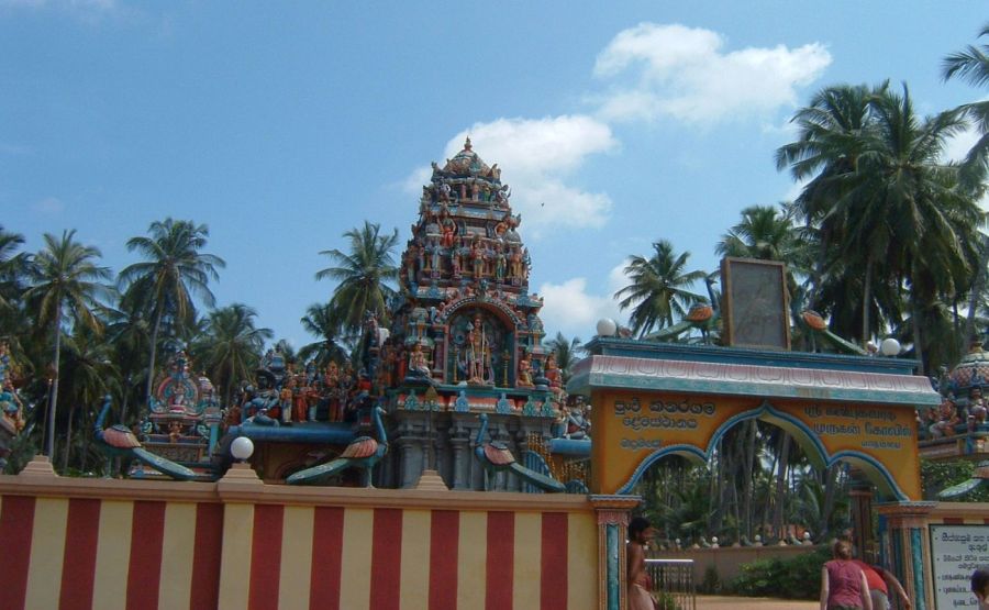 Suzanna Travels to Sri Lanka