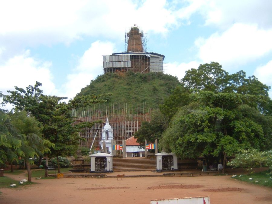 Suzanna Travels to Sri Lanka