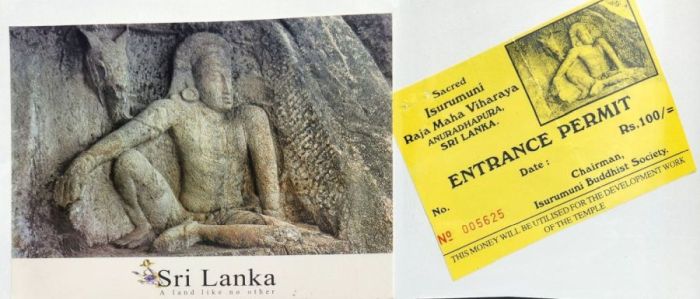 Suzanna Travels to Sri Lanka