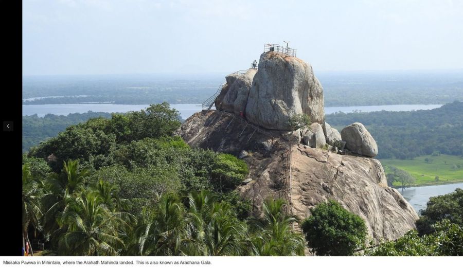 Suzanna Travels to Sri Lanka