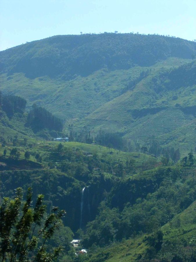 Suzanna Travels to Sri Lanka