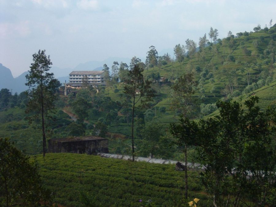 Suzanna Travels to Sri Lanka